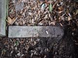 image of grave number 806628